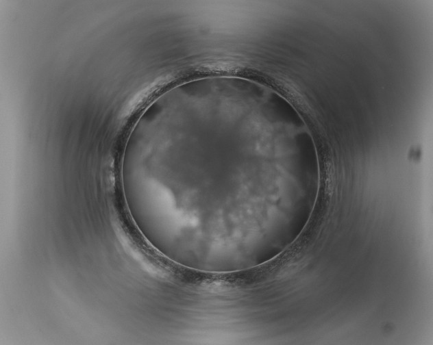 X0000113570634200910021630