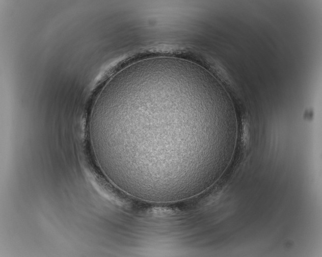 X0000113570636200910021630