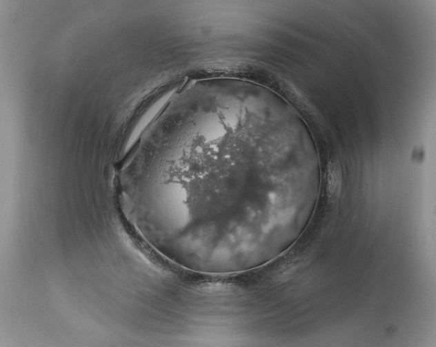 X0000113570637200910021630