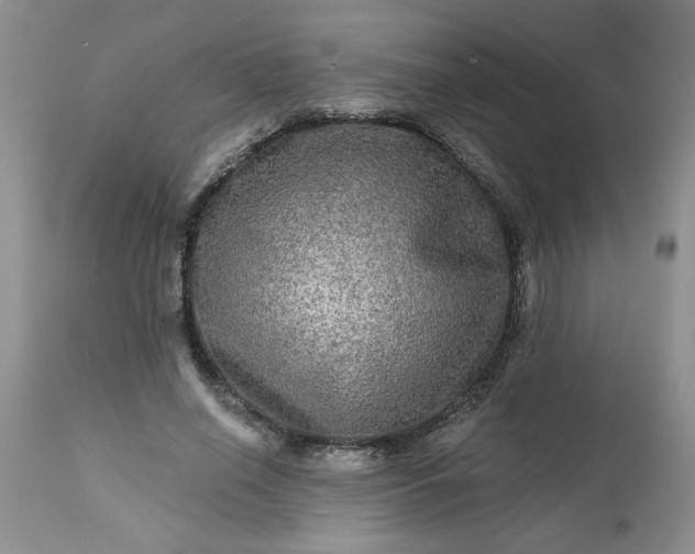 X0000113570638200910021630