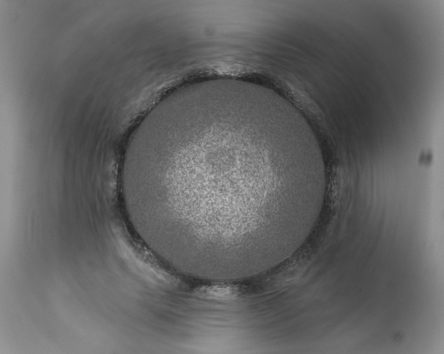 X0000113570639200910021630