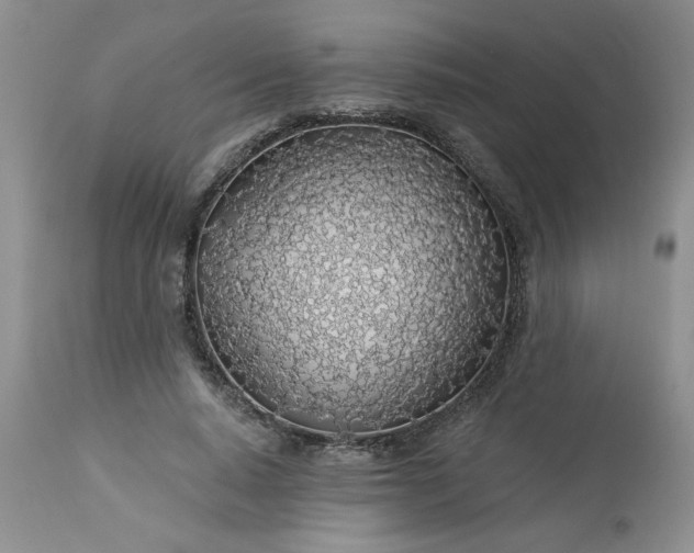 X0000113570640200910021630