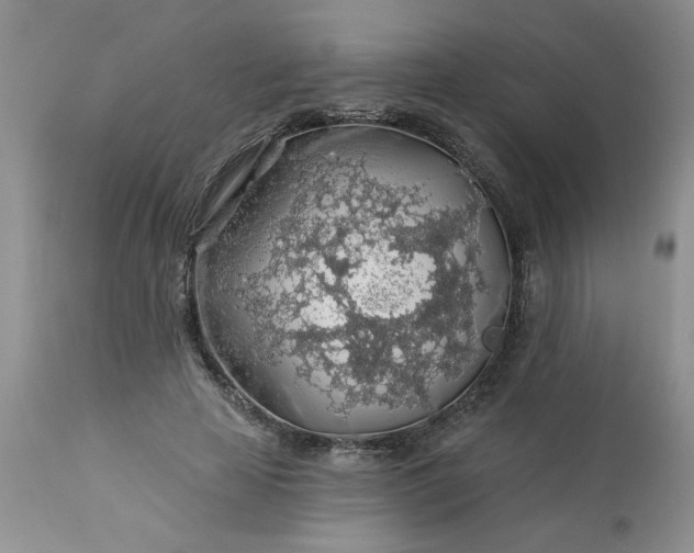 X0000113570641200910021630