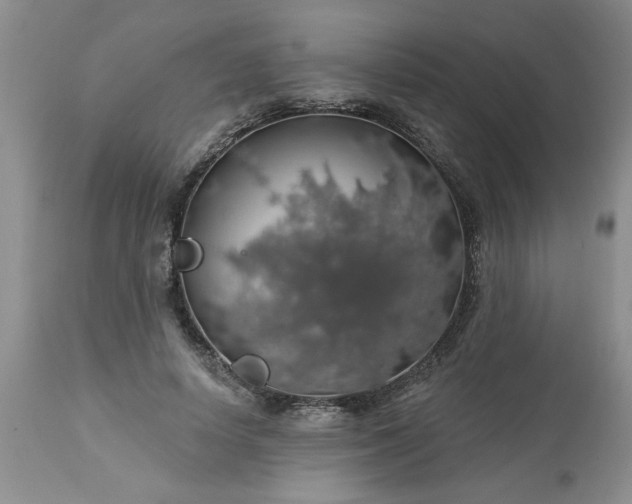 X0000113570642200910021630