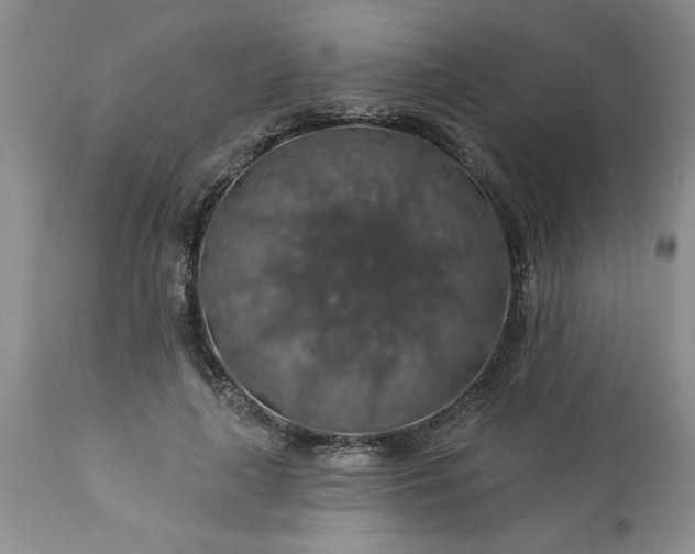 X0000113570643200910021630