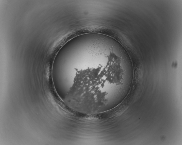 X0000113570644200910021630