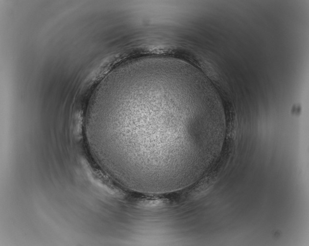 X0000113570646200910021630