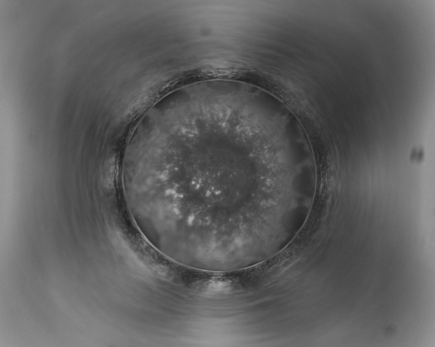 X0000113570647200910021630