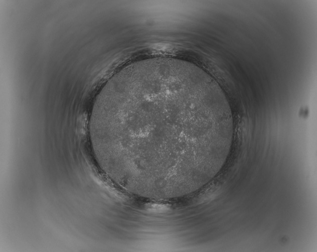 X0000113570649200910021630