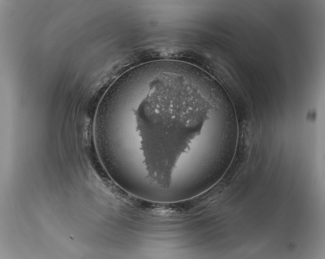 X0000113570650200910021630