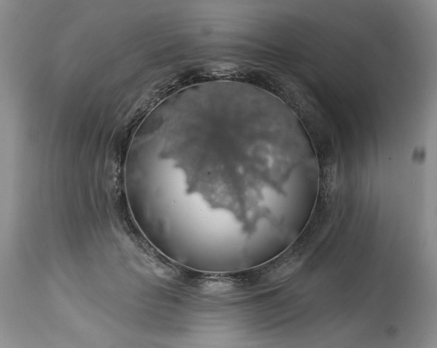 X0000113570653200910021630
