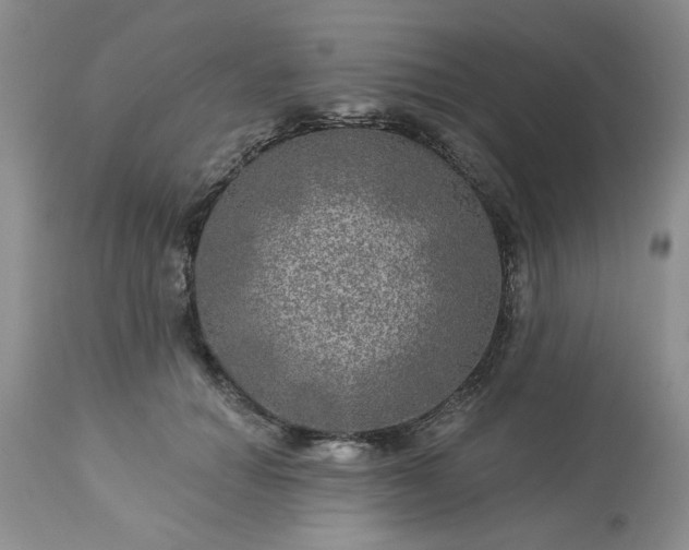X0000113570654200910021630