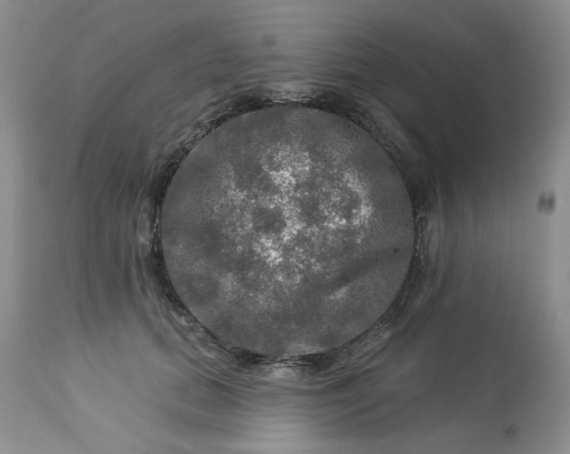 X0000113570655200910021630