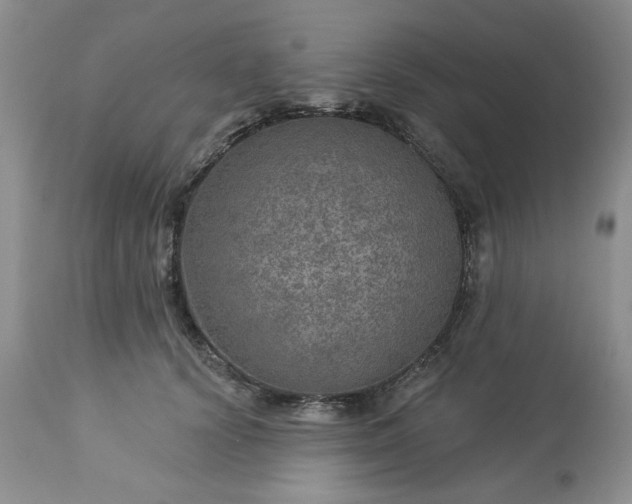 X0000113570656200910021630