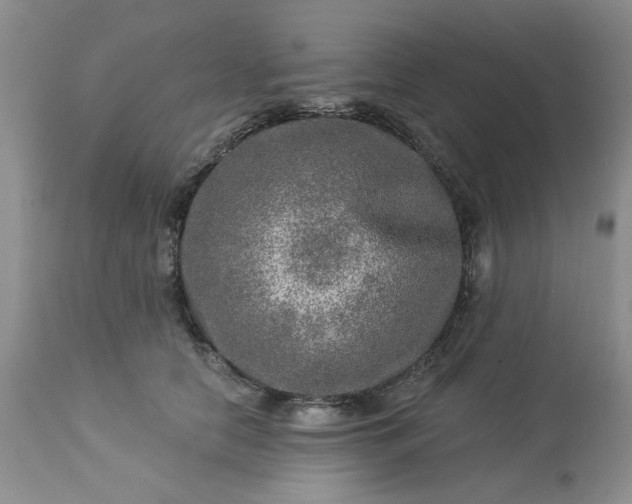 X0000113570658200910021630