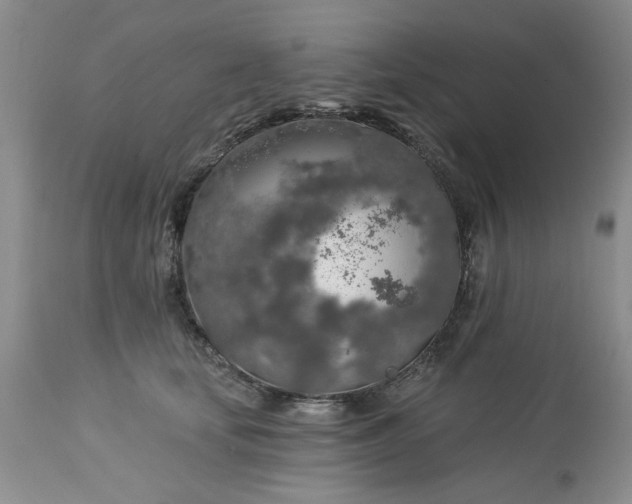 X0000113570659200910021630
