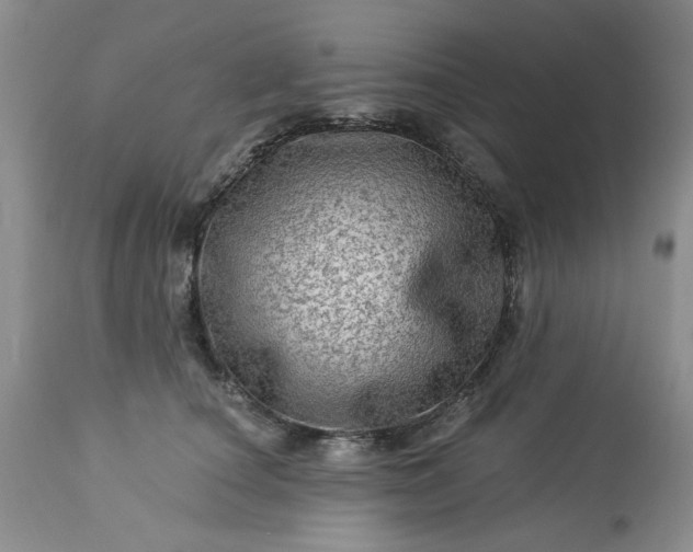 X0000113570660200910021630