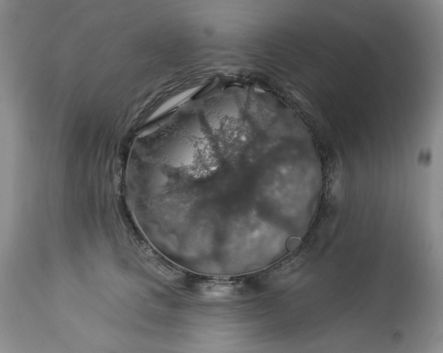 X0000113570661200910021630