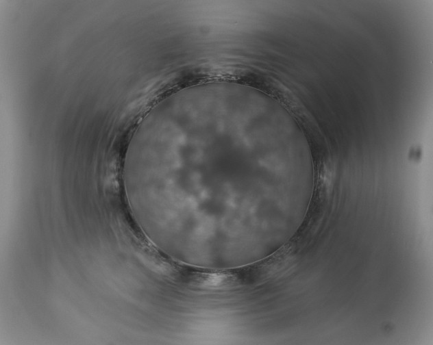 X0000113570663200910021630