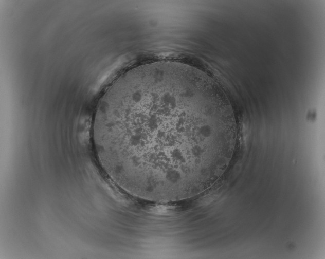 X0000113570664200910021630