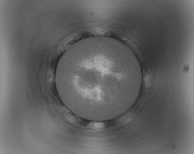 X0000113570665200910021630