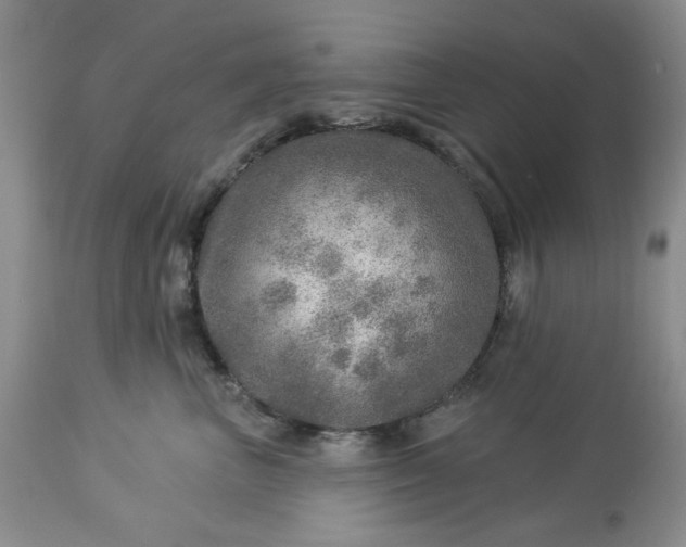 X0000113570667200910021630