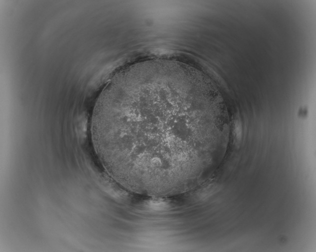 X0000113570668200910021630