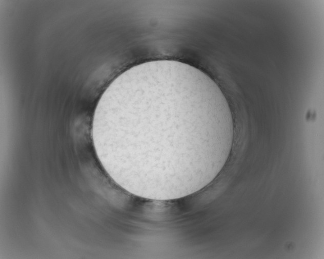 X0000113570672200910021631