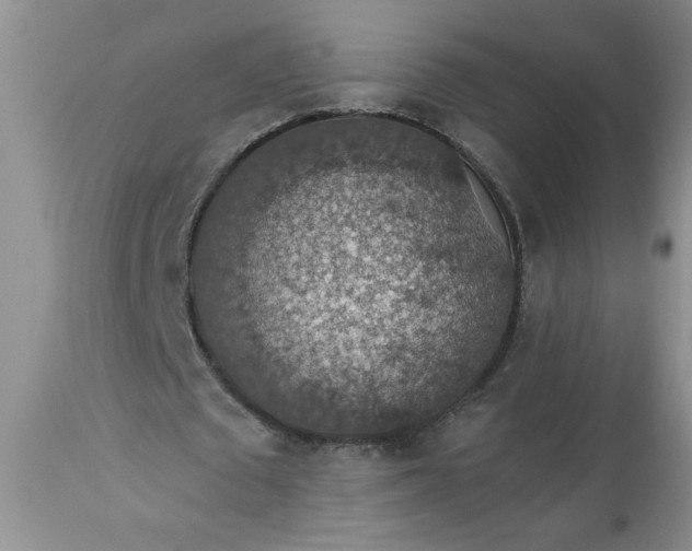 X0000113570673200910021630