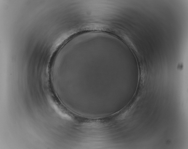 X0000113570674200910021630