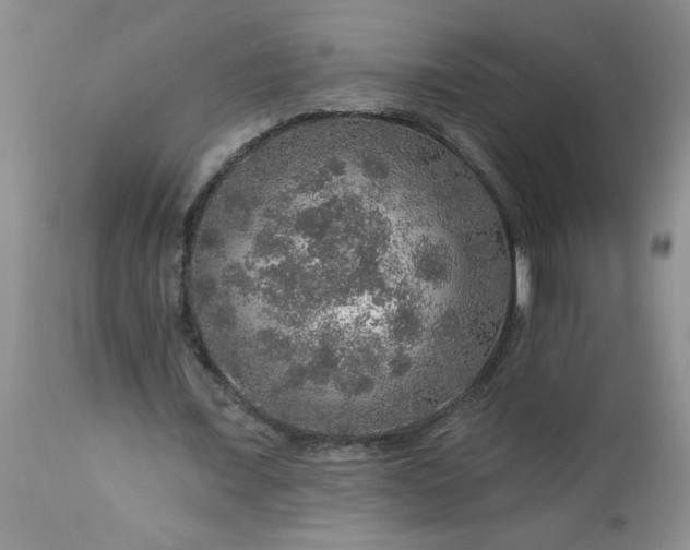 X0000113570675200910021630