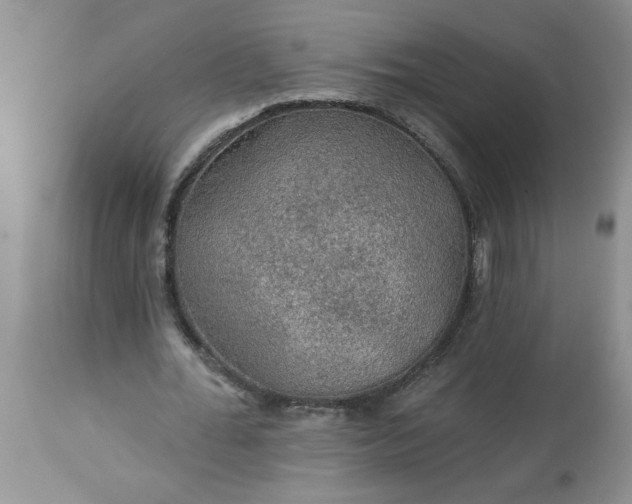 X0000113570676200910021630