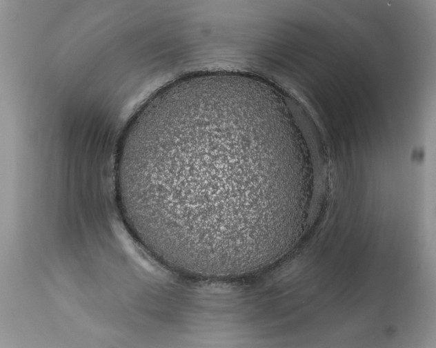 X0000113570677200910021630