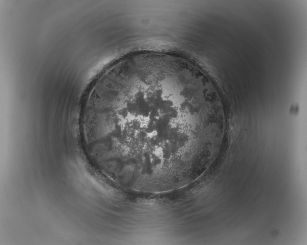 X0000113570679200910021630