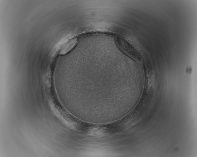 X0000113570680200910021630