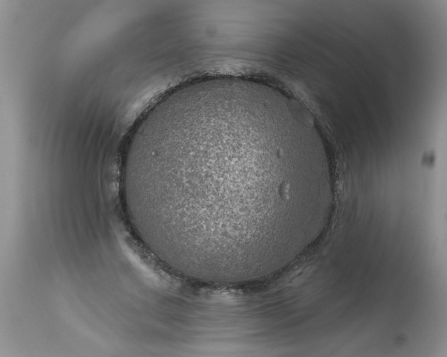 X0000113570683200910021630