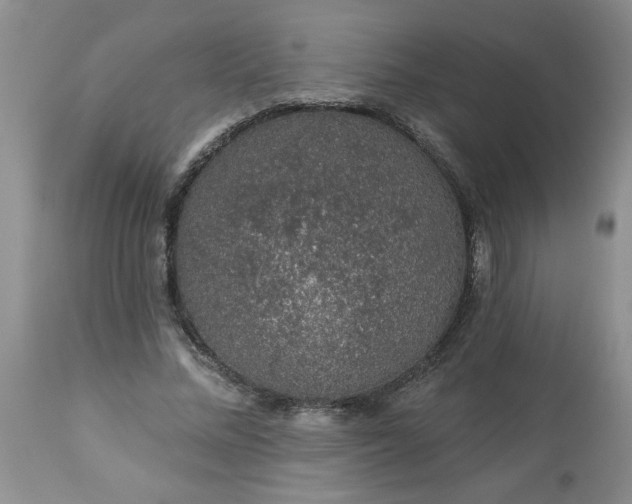 X0000113570684200910021630