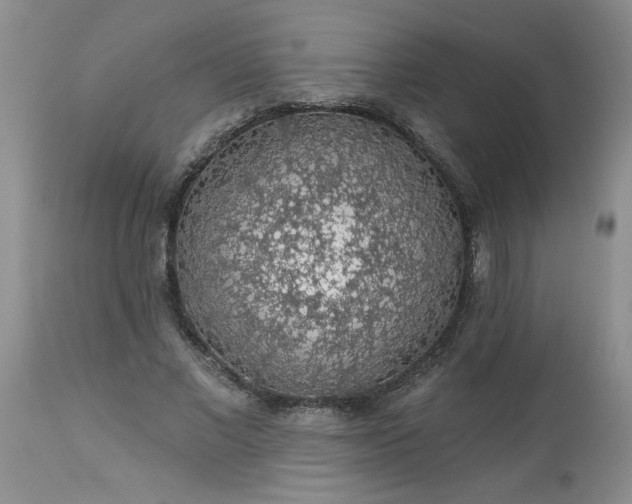 X0000113570685200910021630