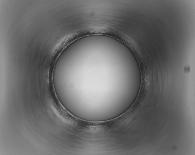 X0000113570686200910021630