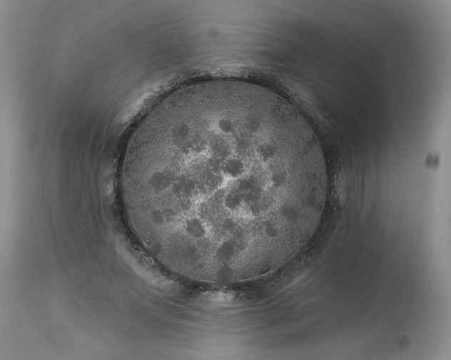 X0000113570687200910021630
