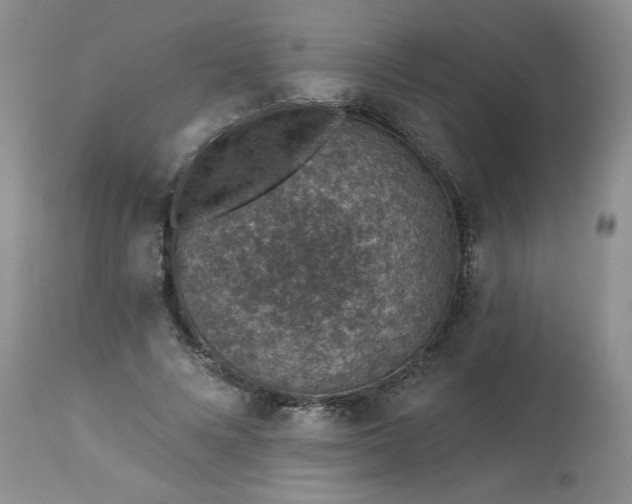 X0000113570688200910021630