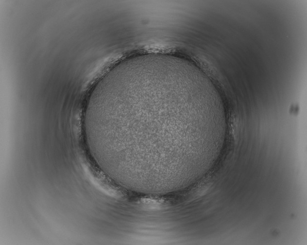 X0000113570690200910021629