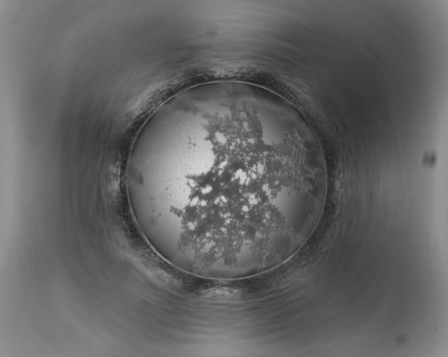 X0000113570691200910021629