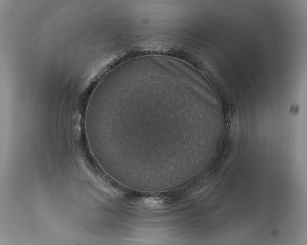 X0000113570692200910021629