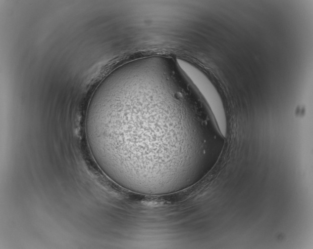 X0000113570693200910021629