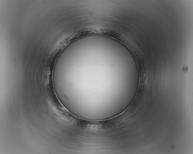 X0000113570694200910021629