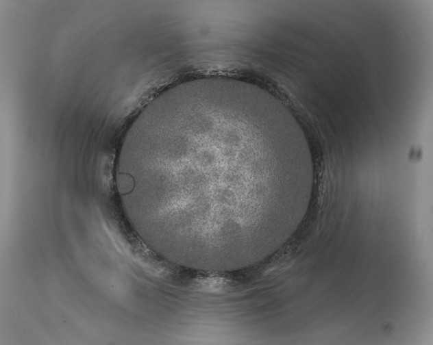 X0000113570695200910021629