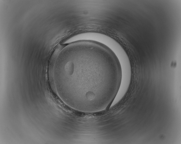 X0000113570696200910021629