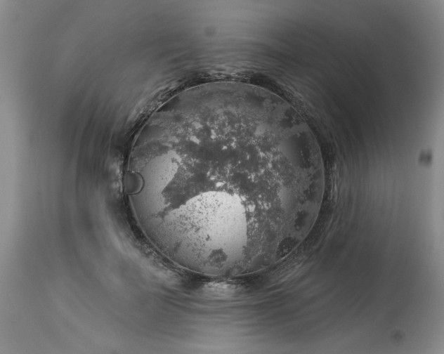 X0000113570699200910021629