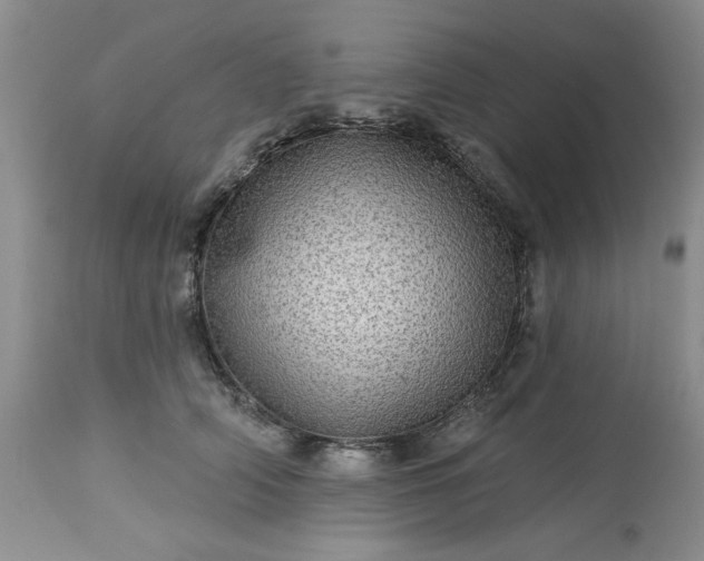 X0000113570706200910021629